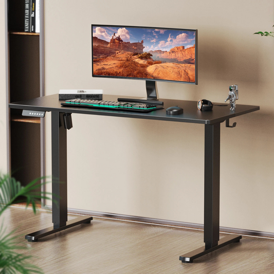 Electric Adjustable Standing Desk