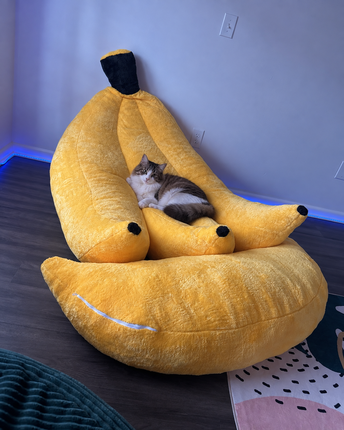 He got comfortable real quick.